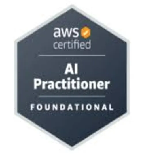 AI Practitioner